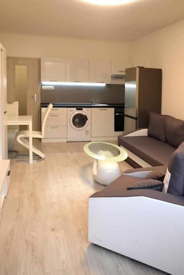 Utulny Apartman V Centru, S Krasnym Vyhledem Decin Exterior photo