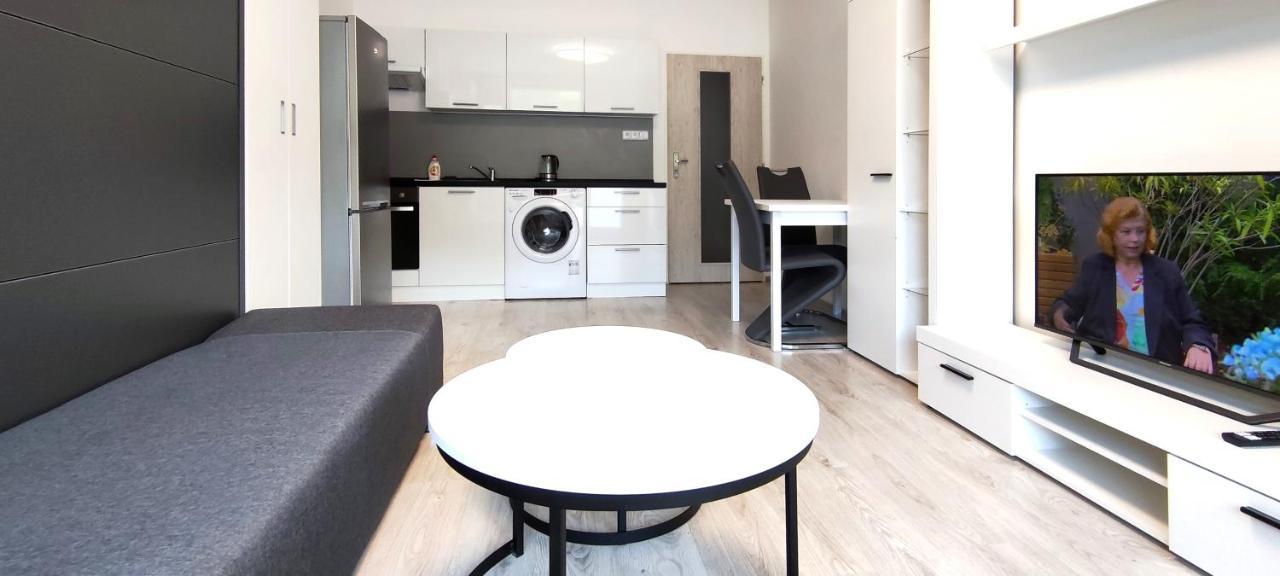 Utulny Apartman V Centru, S Krasnym Vyhledem Decin Exterior photo