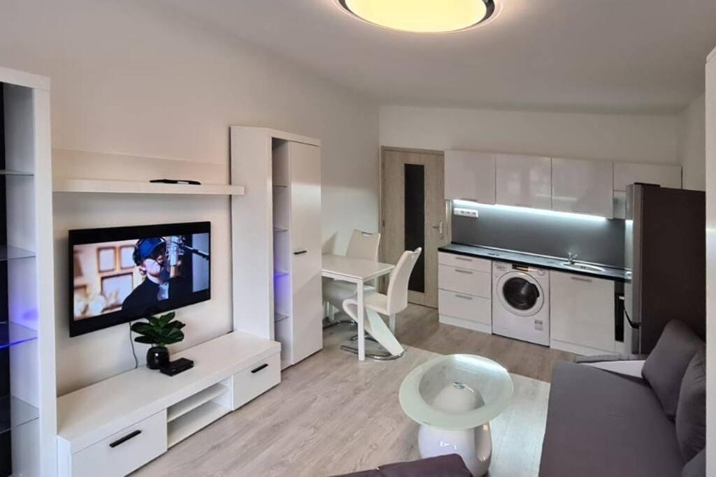 Utulny Apartman V Centru, S Krasnym Vyhledem Decin Exterior photo